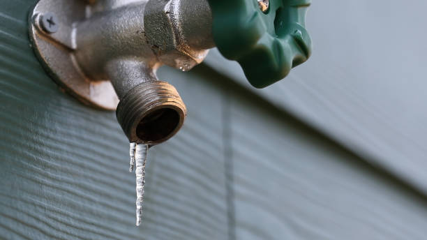 Best Leak Detection Services  in Coeur Dalene, ID